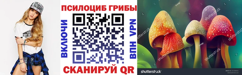 Псилоцибиновые грибы Psilocybe  Юхнов 